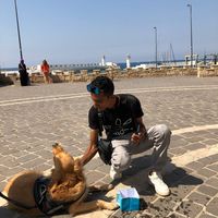 Ahmed Ashraf's Photo