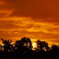 Nadia & Andrea的照片