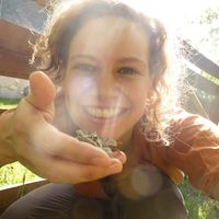 Sarah Stiffel's Photo