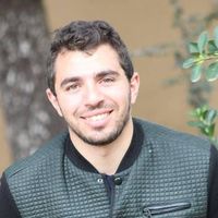 Amin The travelling Pigeon的照片