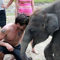 Andrew St John的照片