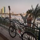 Cycling in ZAMALEK 's picture