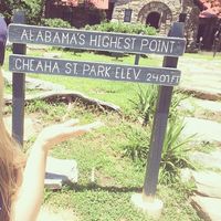 Sophie Hallett's Photo