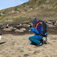 Fedex Gabriel Romee的照片