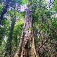 Felicity Simpson's Photo