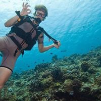 Jelmer Hulsink的照片