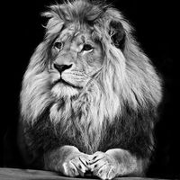 Patriciu Cimpoeșu's Photo