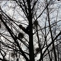 Lucia Grundmann的照片