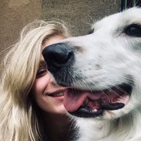 Mirna Mezulic的照片