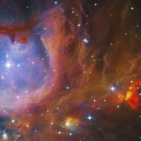 Clelia Petrantò's Photo