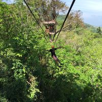 Ahmed Darwish's Photo