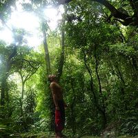 Diego Gallegos Gauding's Photo