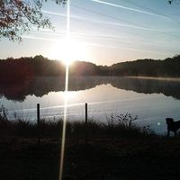 Marianne Hémon的照片