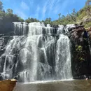 Great Ocean Road/Grampians 's picture