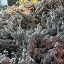 Warm&Cozy Winter Meeting's picture