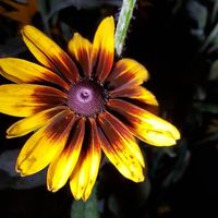 Le foto di Ali Ahmadi