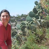 Dana Ackermann的照片