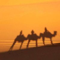 NoUr Echbihi's Photo