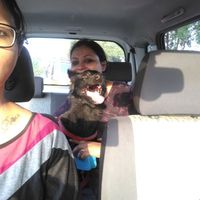 Shayontoni Ghosh的照片