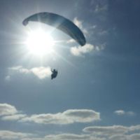 Osnat Netzer的照片