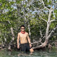 Ton Ton Alfaro的照片