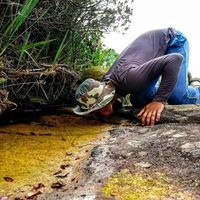 Zevitor Santos's Photo