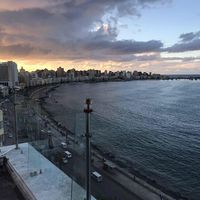 Sherif Moussa's Photo