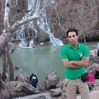 Majid Rashidi的照片