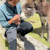 Фотографии пользователя Julie Pesty