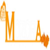 Mozora  Info Solutionss's Photo