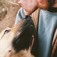 Adam Campbell's Photo