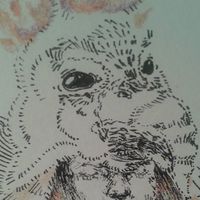 Фотографии пользователя Lena Lne