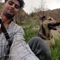 Keyvan Darabeygi's Photo