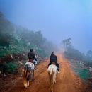 Horse Safaris In Bangalore的照片