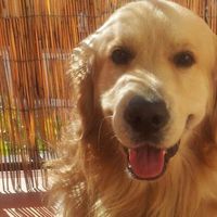 Miguel  Solís Navarro's Photo