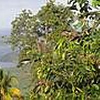 Morgane Blanchard的照片