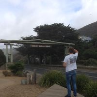 Tom Hoogervorst's Photo