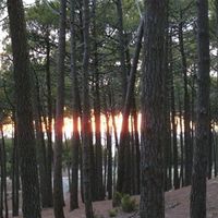 Jürgen Ulrich的照片