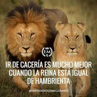 angel islas的照片