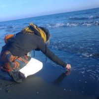 chevalier Sarah's Photo