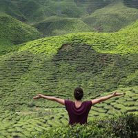 Merle Wunderkind's Photo