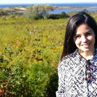 Lili Louzada的照片