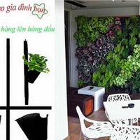 Fotos de Hoàng Nguyên  Green