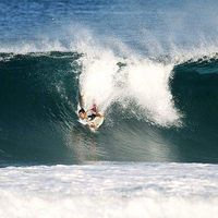 Salvador Chavez的照片