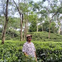 Mahmud  Arif's Photo