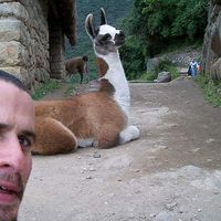 Gilad Kesher的照片