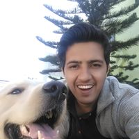 Andrai Saraswat's Photo