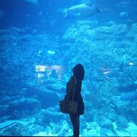 Photos de Caim Hermoso