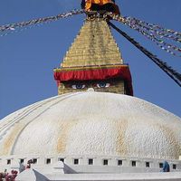 Sara Mattsson's Photo