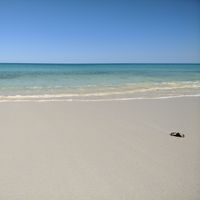 Rakotoson Johary's Photo